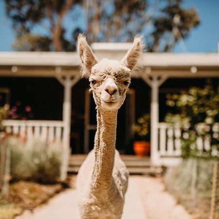 Margaret River Holiday Cottages Dış mekan fotoğraf