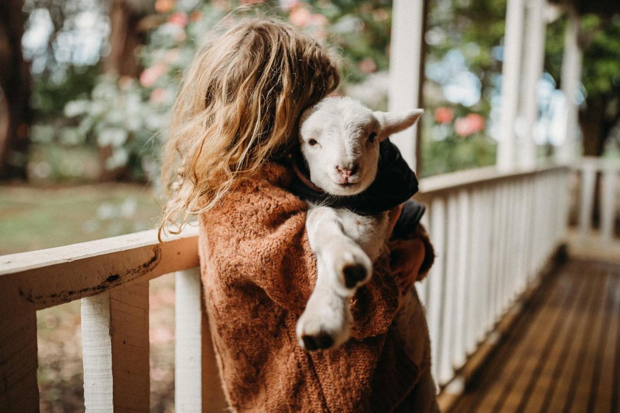 Margaret River Holiday Cottages Dış mekan fotoğraf