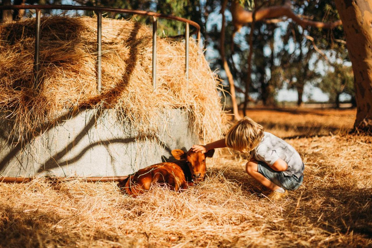 Margaret River Holiday Cottages Dış mekan fotoğraf