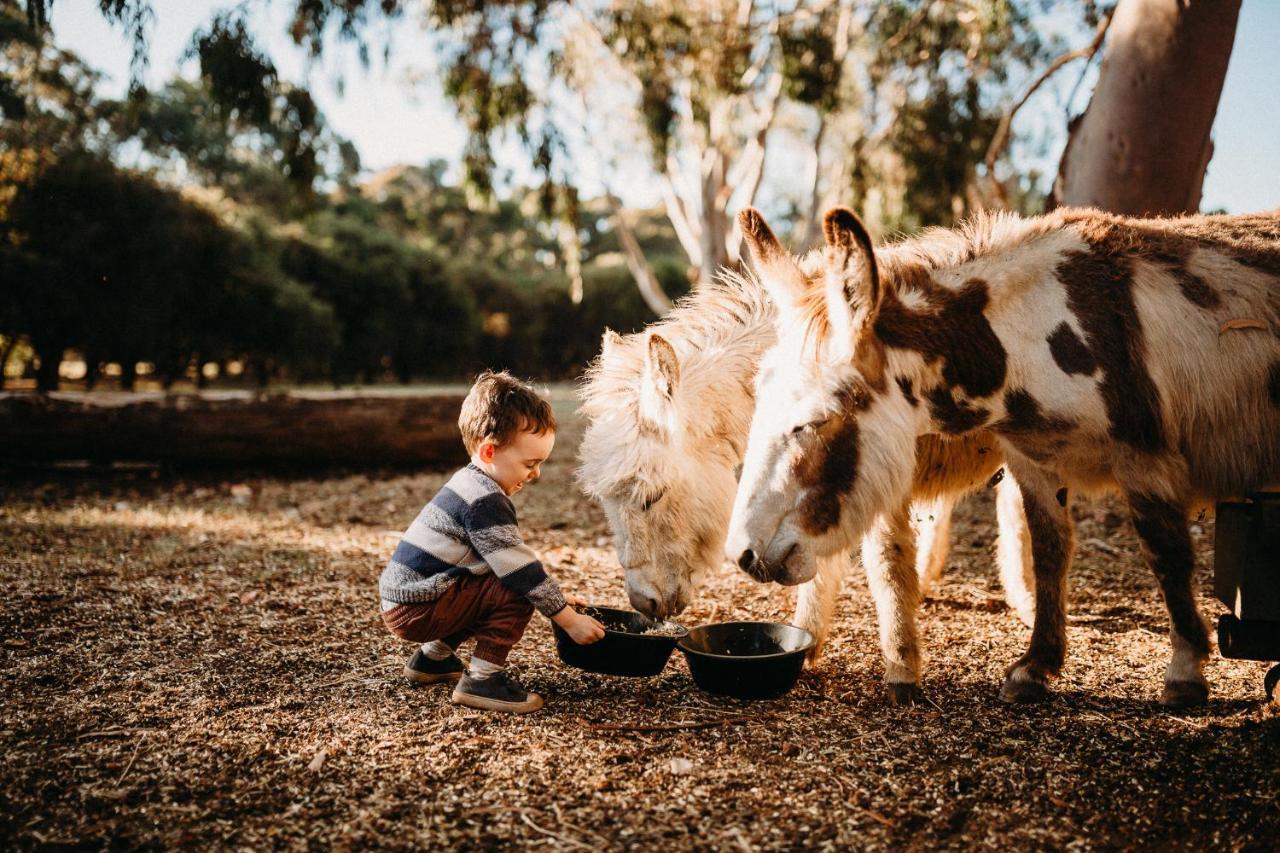 Margaret River Holiday Cottages Dış mekan fotoğraf