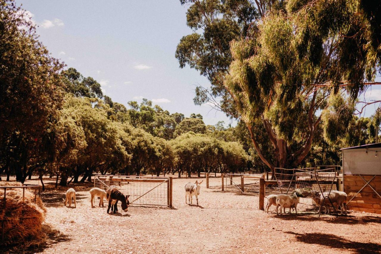 Margaret River Holiday Cottages Dış mekan fotoğraf