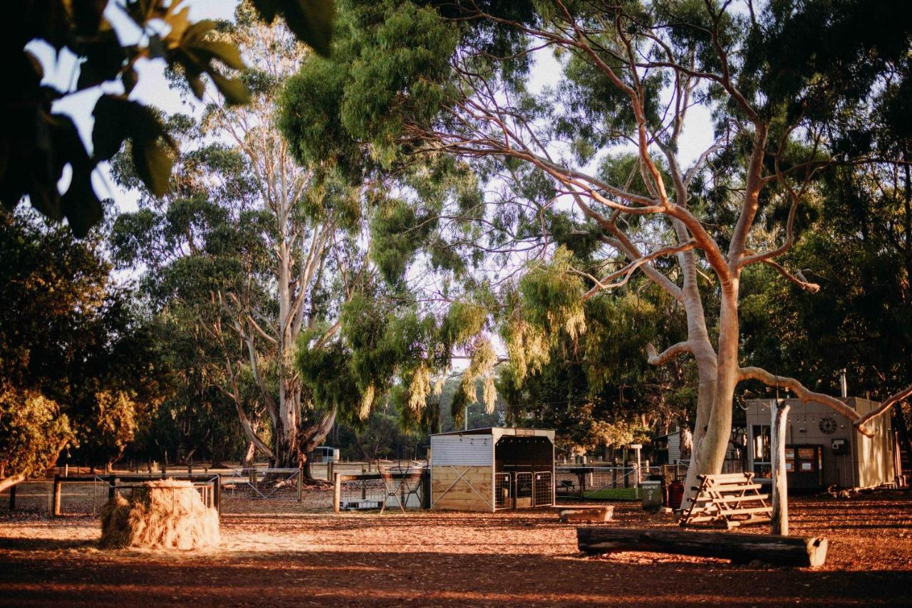 Margaret River Holiday Cottages Dış mekan fotoğraf