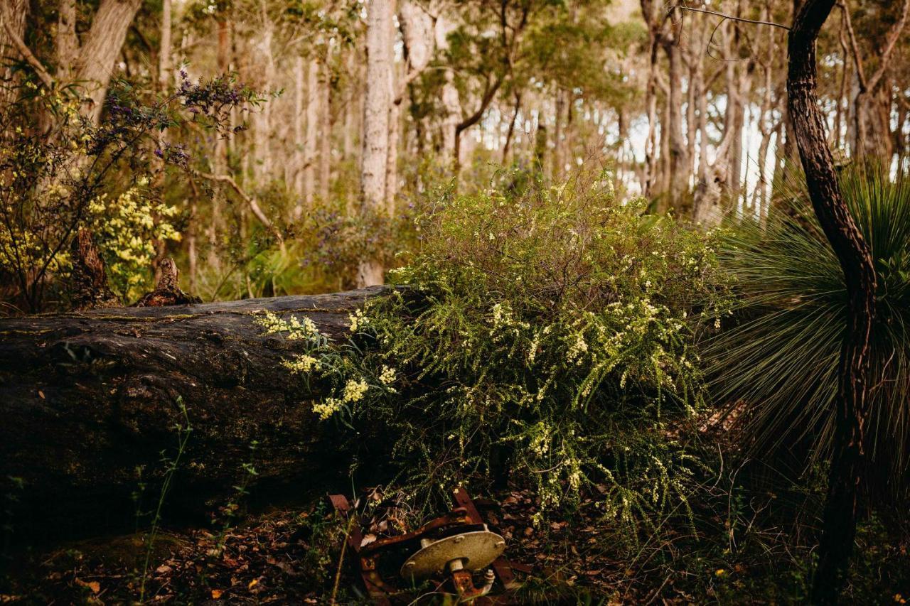 Margaret River Holiday Cottages Dış mekan fotoğraf