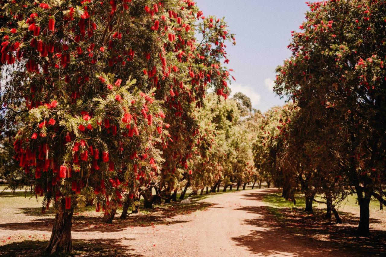 Margaret River Holiday Cottages Dış mekan fotoğraf